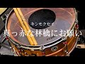 キンモクセイ『真っ赤な林檎にお願い』【Drum Cover】