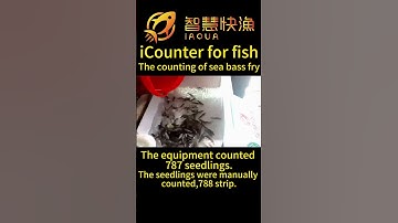 iAqua，iCounter for fish，the counting of sea bass fry. #aquaculture#fingerlings #Seabassfry