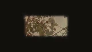 Kara. - Yar, Yar Olmuş Başka Kula
