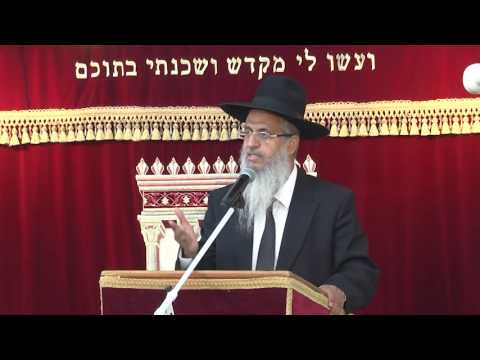 הלכות מאכלות אסורות חלק א | כשרות המטבח | הרב יורם סרי