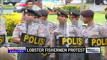 Lobster Fishermen Protest Export Restrictions in Lombok
