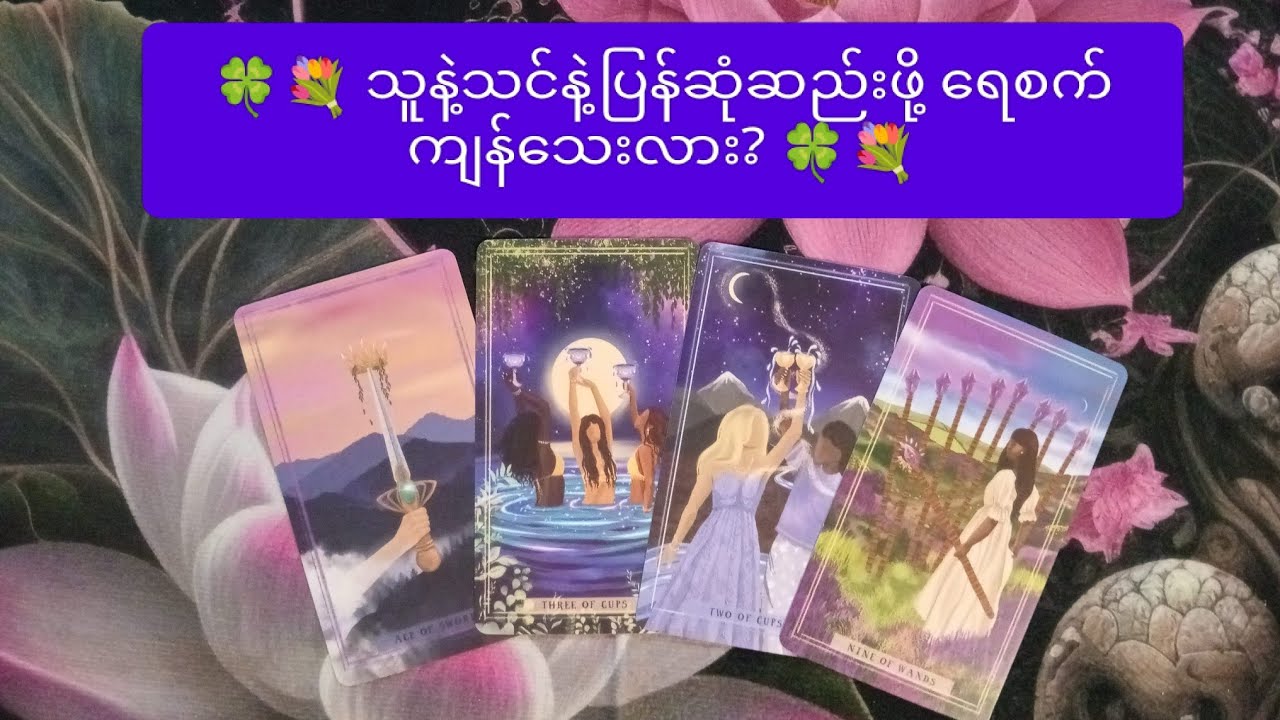 💐🍀 သူနဲ့သင်နဲ့ပြန်ဆုံဆည်းဖို့ရေစက်ကျန်သေးလား? 💐🍀 🌟 Collective Reading 🌟