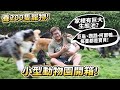 養200多隻寵物?小型動物園開箱!家裡有巨大生態池?【許伯簡芝】【動物開箱】【從零開始養】德爺!巨龜、鸚鵡、柯爾鴨...