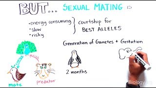 Sexual vs. asexual reproduction: How and why they evolved?