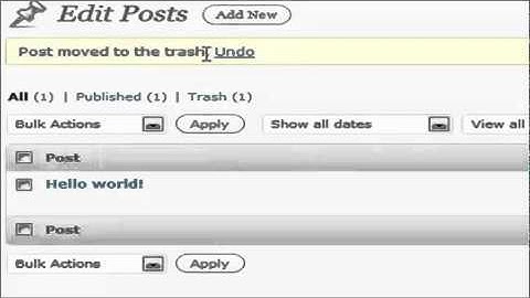 4 - Wordpress 101 - editing posts
