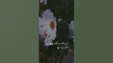 أجمل حالات واتس اب يوم الجمعه 🌼🍃 مقاطع قران انستقرام //ستوريات //آيات قرانيه //بدون حقوق