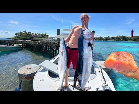 RARE Pumpkin Sailfish!!! Catch Clean Cook