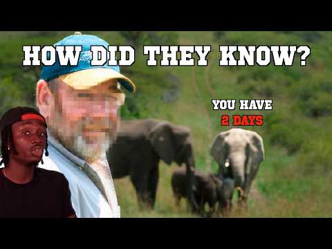 The 15 Year Elephant Mystery Science Can't Explain