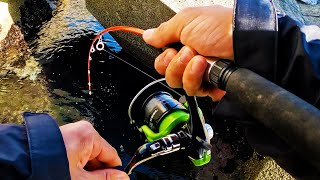 【穴釣り】スーパーで買った活ドジョウで大物狙い