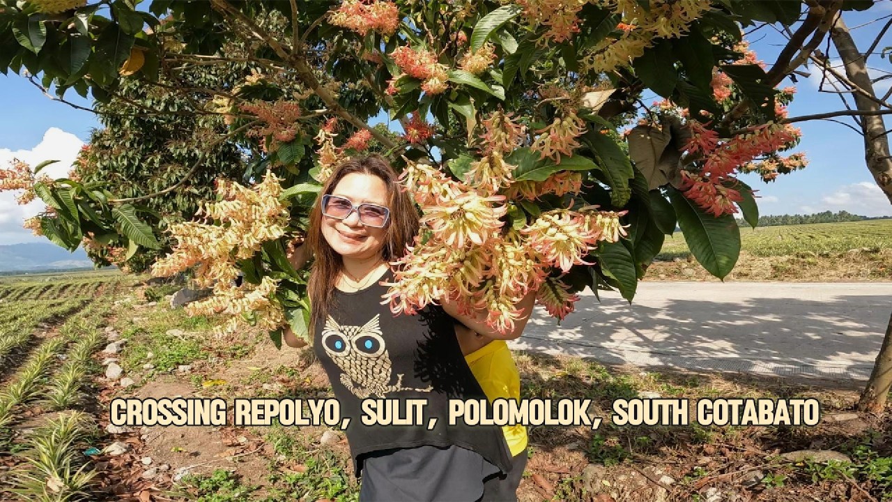 Our visit sa Crossing Repolyo, Sulit, Polomolok, South Cotabato - YouTube