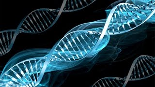 Celebrity XCOM enemy within gene modification Oo Net Worth