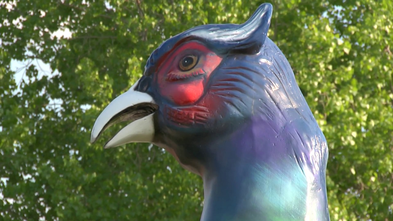 FAST (Fiberglass/Animals/Shapes/Trademarks) MOLD YARD Sparta, WI YouTube