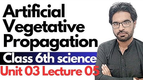 Artificial Vegetative Propagation | Class 6th science - Lecture 05