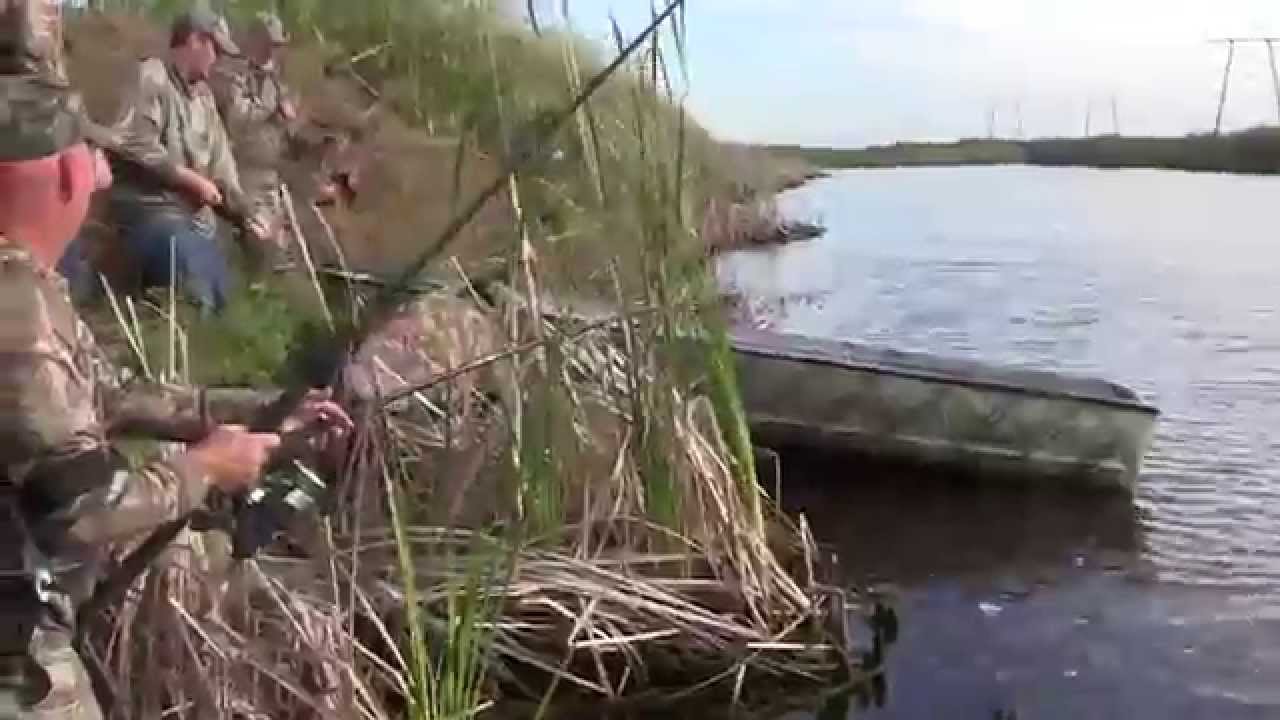 Florida Gator Hunt 