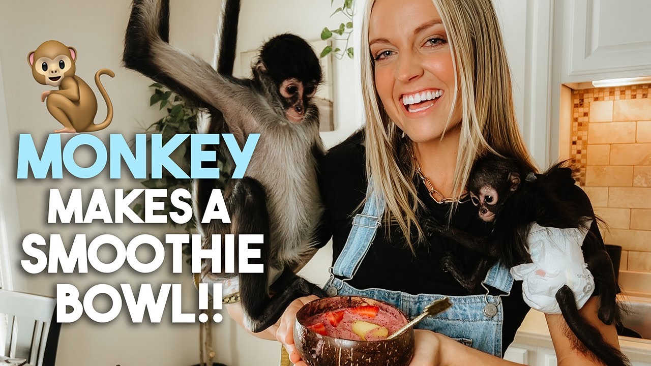 Making a Smoothie Bowl with a Monkey! YouTube