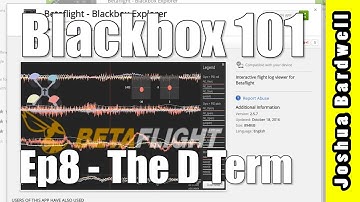 BLACKBOX 101 | Ep8 - The D Term