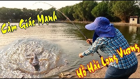 Câu Cá Tra Hồ Hải Long Vương Cảm Giác Quá Mạnh | Hồ Câu Cá Hải Long Vương