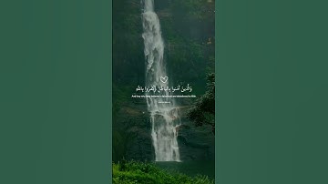 ﴿قُلْ كَفَىٰ بِاللَّهِ بَيْنِي وَبَيْنَكُمْ شَهِيدًا﴾ | تلاوة تقشعر لها الأبدان #عبدالرحمن_مسعد