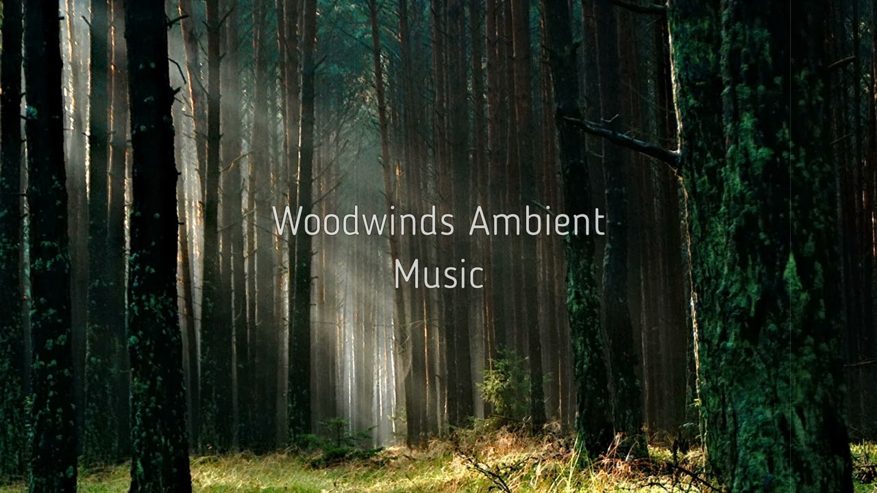 Woodwinds Ambient Music - 15 loopable tracks and loops | navigation in description |