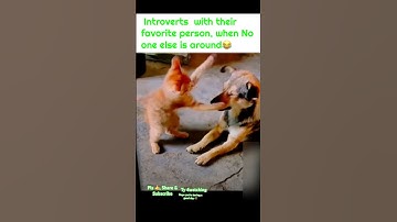 Introverts Can relate #shortvideo #trending #shorts #shortvideo #trending #youtubeshorts #fyp #god