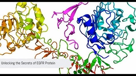 Unlocking the Secrets of EGFR Protein