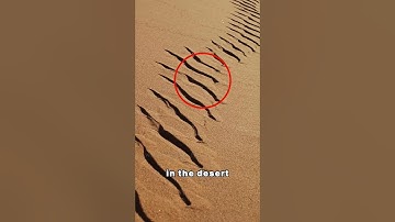 These marks in the desert can kill you #shorts