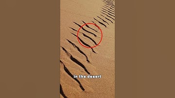 These marks in the desert can kill you #shorts