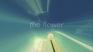 The Flower (Remix)