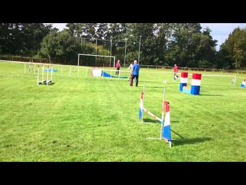MOV 0251