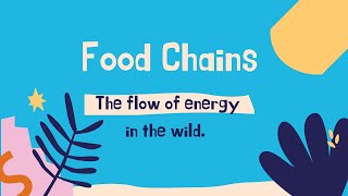 Food Chains #Producers #Scavengers #Decomposers