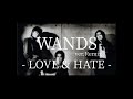 WANDS LOVE &amp; HATE【歌ってみた】