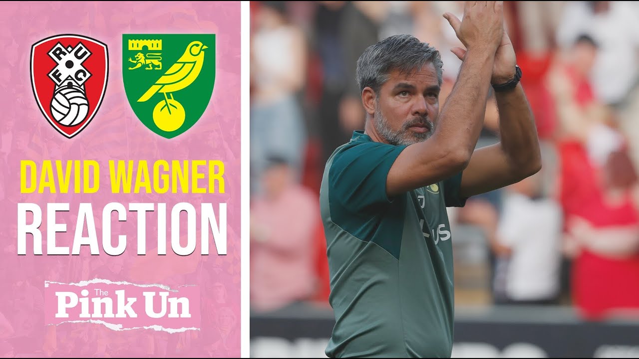David Wagner reaction | Rotherham United 2-1 Norwich City | The Pink Un ...