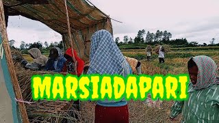 Marsiadapari