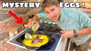 WE CRACKED OPEN & ATE the EMU EGGS !
