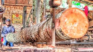 Coconut Logs Quickly Transformed Into Useful Timber