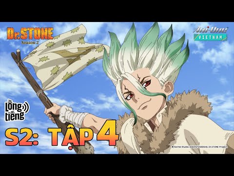 Dr. Stone