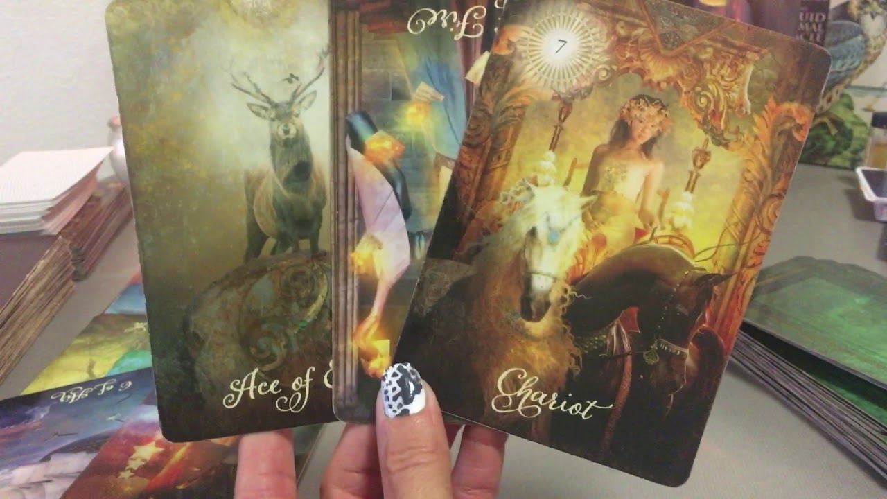 Aries November 2019: You're patience has paid off