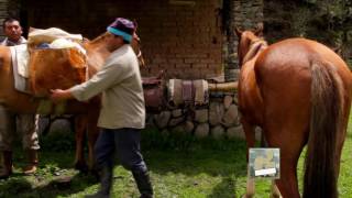 Reserva Privada Las Queñuas - SJ de Chasquivil - Tucumán 200 Años de Historia