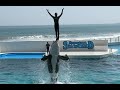 鴨川シーワールド シャチショー シャチパフォーマンス ※2023.04.08 / Killer whale show at Kamogawa seaworld