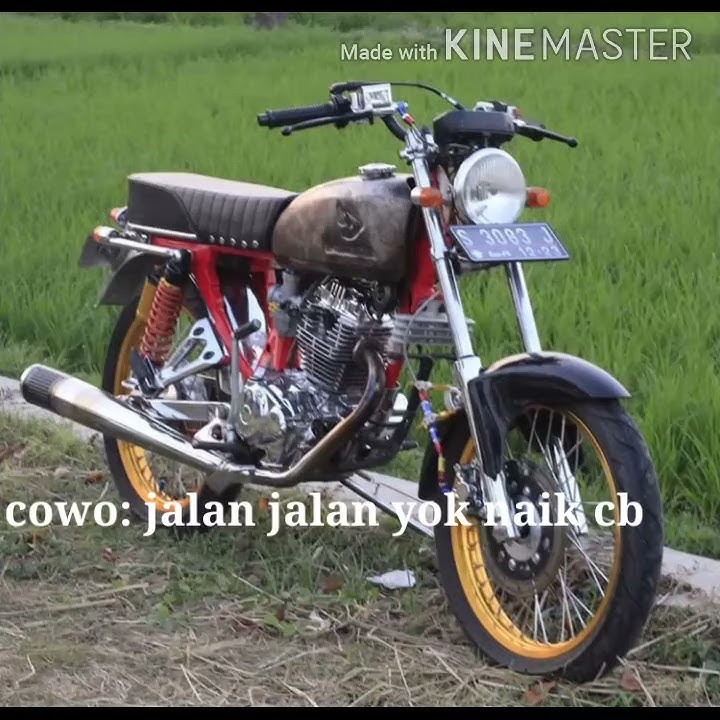 Story wa 30 detik anak cb...