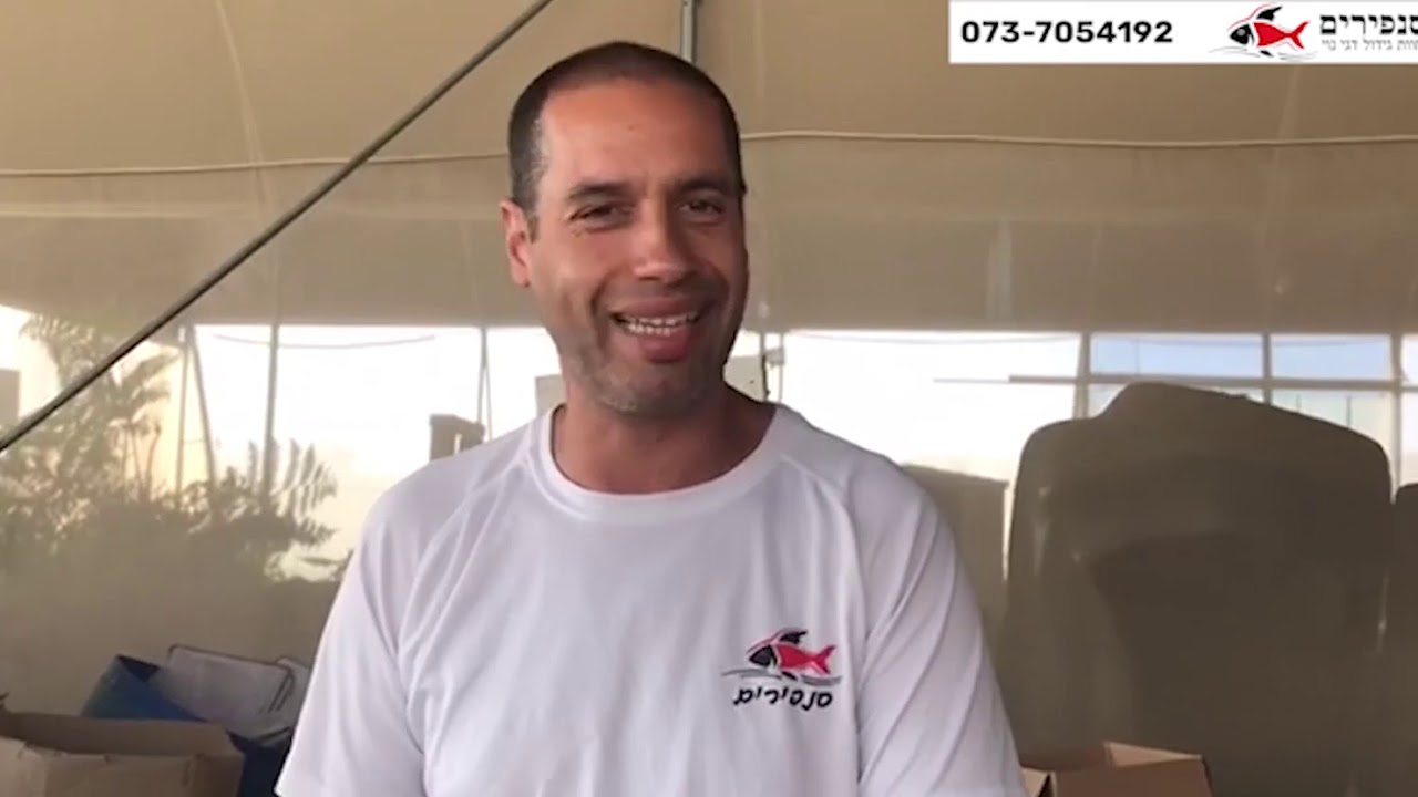 סנפירים חוות גידול דגי נוי -מחלות דגים