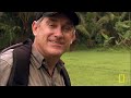 Ranking World's Deadliest Snakes (Full Episode) | Dangerous Encounters | Nat Geo Animals