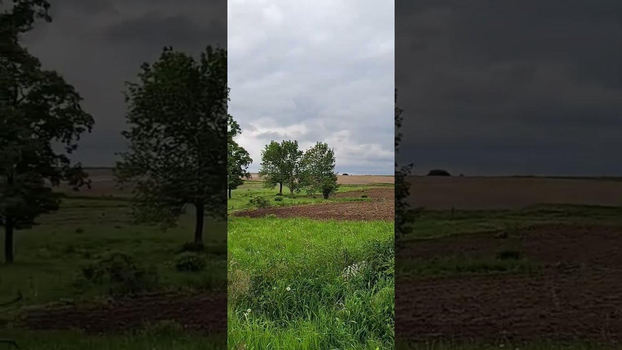 Never Before Farmed 2 5 Acres Oliver Superior Regenerativeag Seasonalgrazing Alfalfa Oats