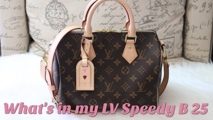 LOUIS VUITTON - SPEEDY BANDOULIÈRE 25 - ORGANIZER/PURSE INSERT + WIMB -  What's in My Handbag 