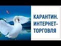 Карантин на даче. Товары по интернет. Кормление лебедей