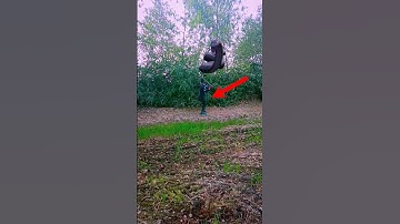 Snake vfx magic video ll Snake vidio #youtubeshorts #snake #shorts #funny #youtubshort #viral 🐍