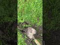I buried a hard drive #technology #computerhardware