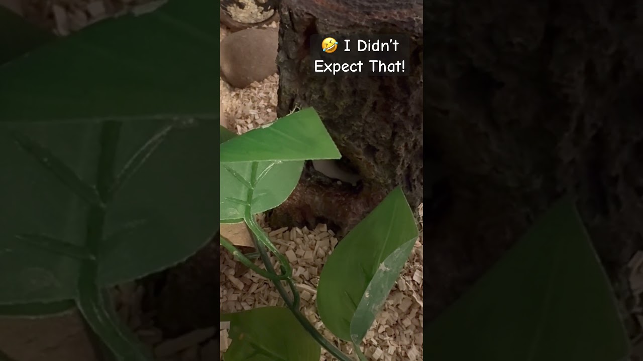 🤪😳 Bam!💥 This 