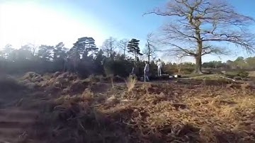 Lumenier QAV250 free flight  trees flips and crashes. FPV. Raw gopro footage.