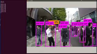 YOLO Real Time Object Detection